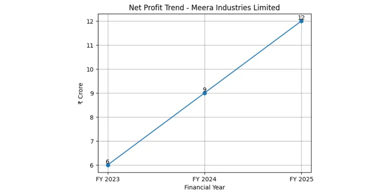 Profitability chart of MEERA industries Ltd.